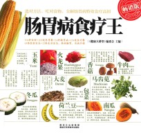 肠胃病食疗王 畅销版