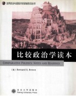 世界政治与国际关系原版影印丛书 比较政治学读本