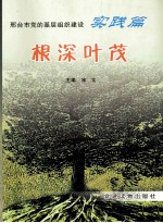 根深叶茂 基层组织建设实践篇
