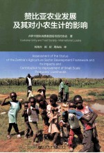 赞比亚农业发展及其对小农生计的影响