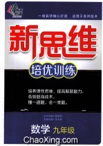 新思维培优训练 数学 九年级