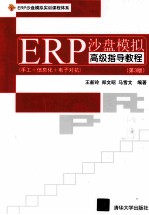 ERP沙盘模拟高级指导教程 第3版