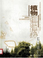植物组织培养