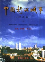 中国新兴城市 中英文本 河南卷