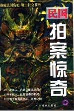 民国拍案惊奇 中