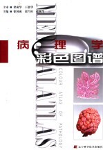 病理学彩色图谱 中英文本