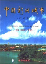 中国新兴城市：河南卷 下