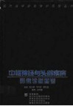 中枢神经与头部疾病影像诊断图谱
