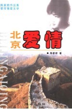 陆家桥作品集 北京爱情