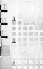 王富仁自选集