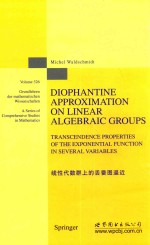 线性代数群上的丢番图逼近 英文