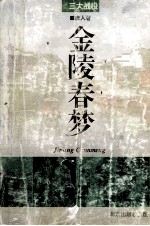 金陵春梦 第7册 三大战役