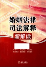 婚姻法律司法解释新解读 第2版