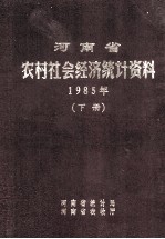 河南省农村社会经济统计资料 1985年 下