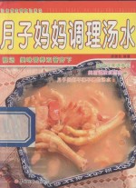 汤师傅保健靓汤精选 月子妈妈调理汤水