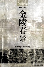 金陵春梦 第2册 十年内战