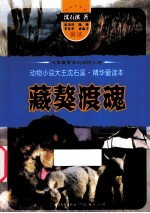 动物小说大王沈石溪精华爱读本 藏獒渡魂