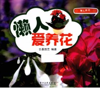 懒人养花 懒人爱养花