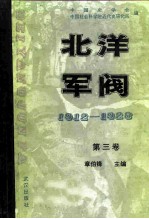 北洋军阀 1912-1928 第3卷 皖系军阀与日本