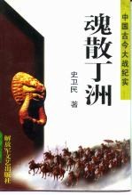魂散丁洲