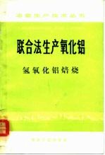联合法生产氧化铝 氢氧化铝焙烧