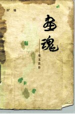 画魂 张玉良传