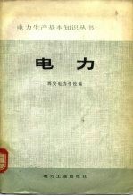 电力