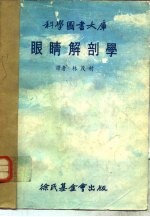 眼睛解剖学