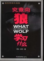 究竟向狼学习什么 狼性管理升级版