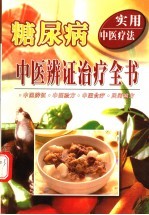 糖尿病中医辨证治疗全书