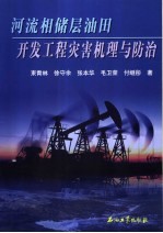 河流相储层油田开发工程灾害机理与防治