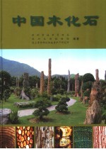 中国木化石