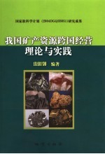 我国矿产资源跨国经营理论与实践