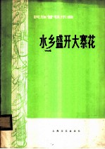 水乡盛开大寨花 民族管弦乐曲