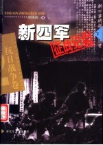 新四军征战纪实 下