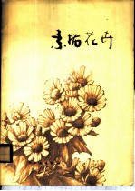 素描花卉
