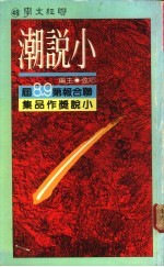 小说潮:联合报第八、九届小说奖作品集