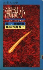 小说潮 联合报第十届小说奖作品集