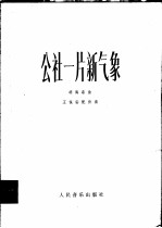 公社一片新气象 唢呐独奏曲 民族管弦乐队伴奏