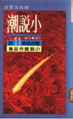 小说潮:联合报第十一届小说奖作品集