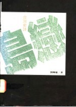 岛恋 台湾史诗