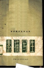 素描写生