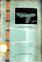 像真飞机模型