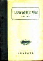 小型足球暂行规则