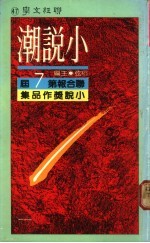 小说潮:联合报第七届小说奖作品集