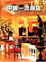 中国一流饭店 3