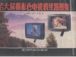国产、进口大屏幕彩色电视机线路图集 一