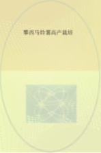 攀西马铃薯高产栽培