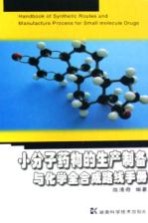 小分子药物的生产制备与化学全合成路线手册 = handbook of synthetic routes and manufacture process for small molecule dru