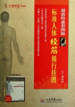 标准人体经筋循行挂图 详解读本